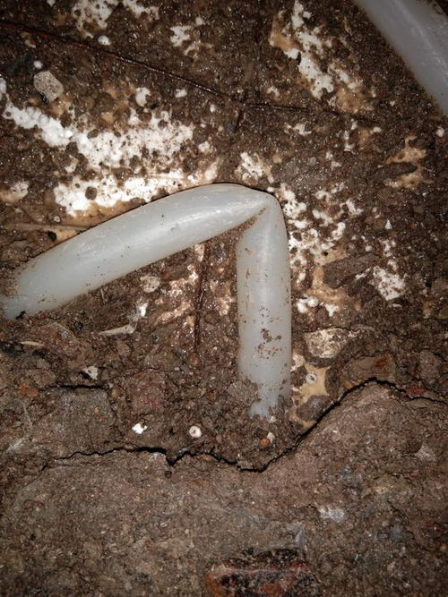 肇东堵点精准查找